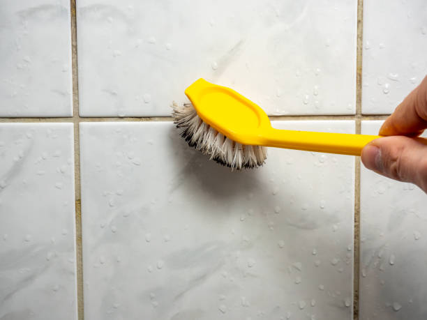 Best Basement Mold Remediation in Edgar, WI