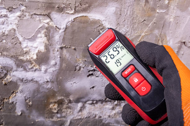 Best Insurance-Related Mold Remediation in Edgar, WI