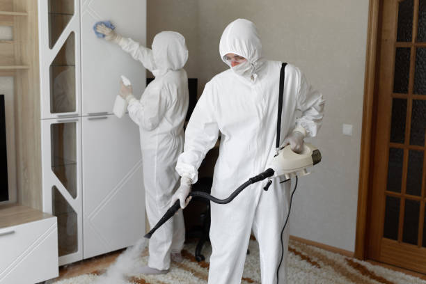 Best Post-Remediation Services in Edgar, WI