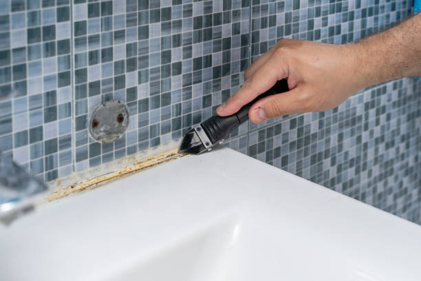 Best White Mold Remediation in Edgar, WI