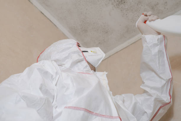 Best Crawl Space Mold Remediation in Edgar, WI