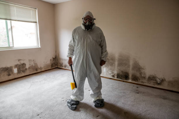 Best Mold Testing and Inspection Services in Edgar, WI